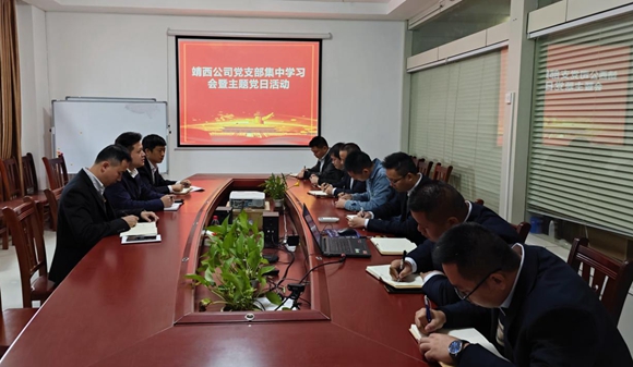 靖西公司党支部开展集中学习会暨主题党日运动