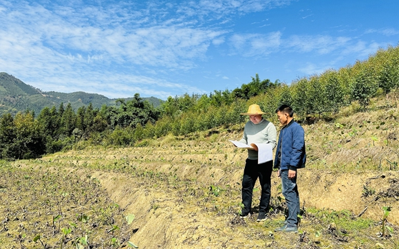 田林福地农投公司扎实推进土地开垦项目整改事情