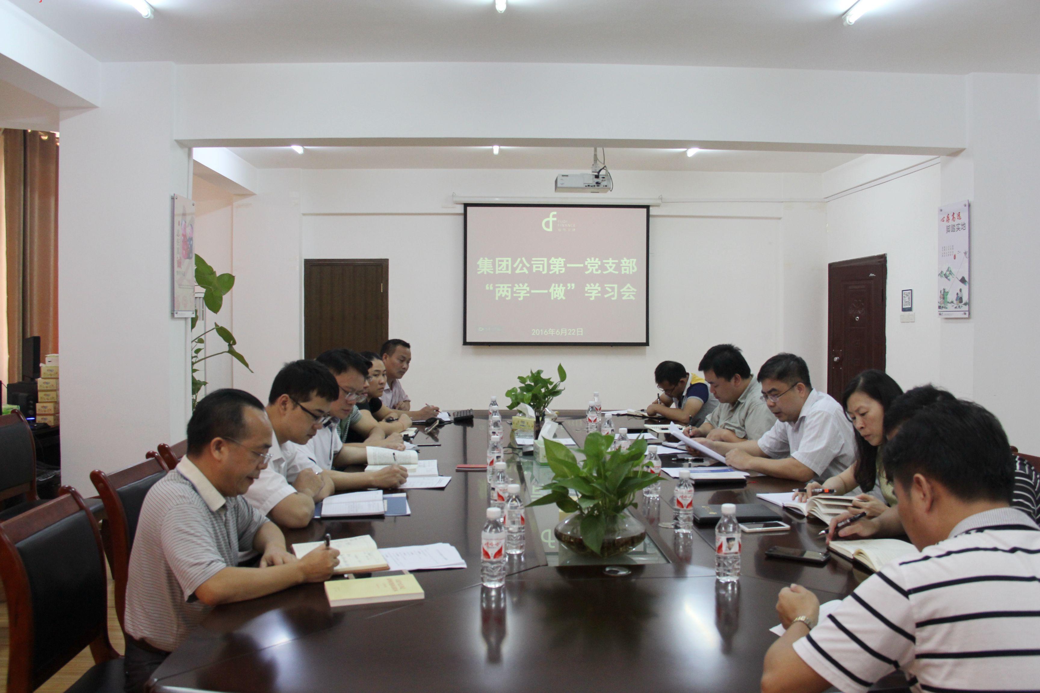 集团公司第一党支部召开“两学一做” 学习会