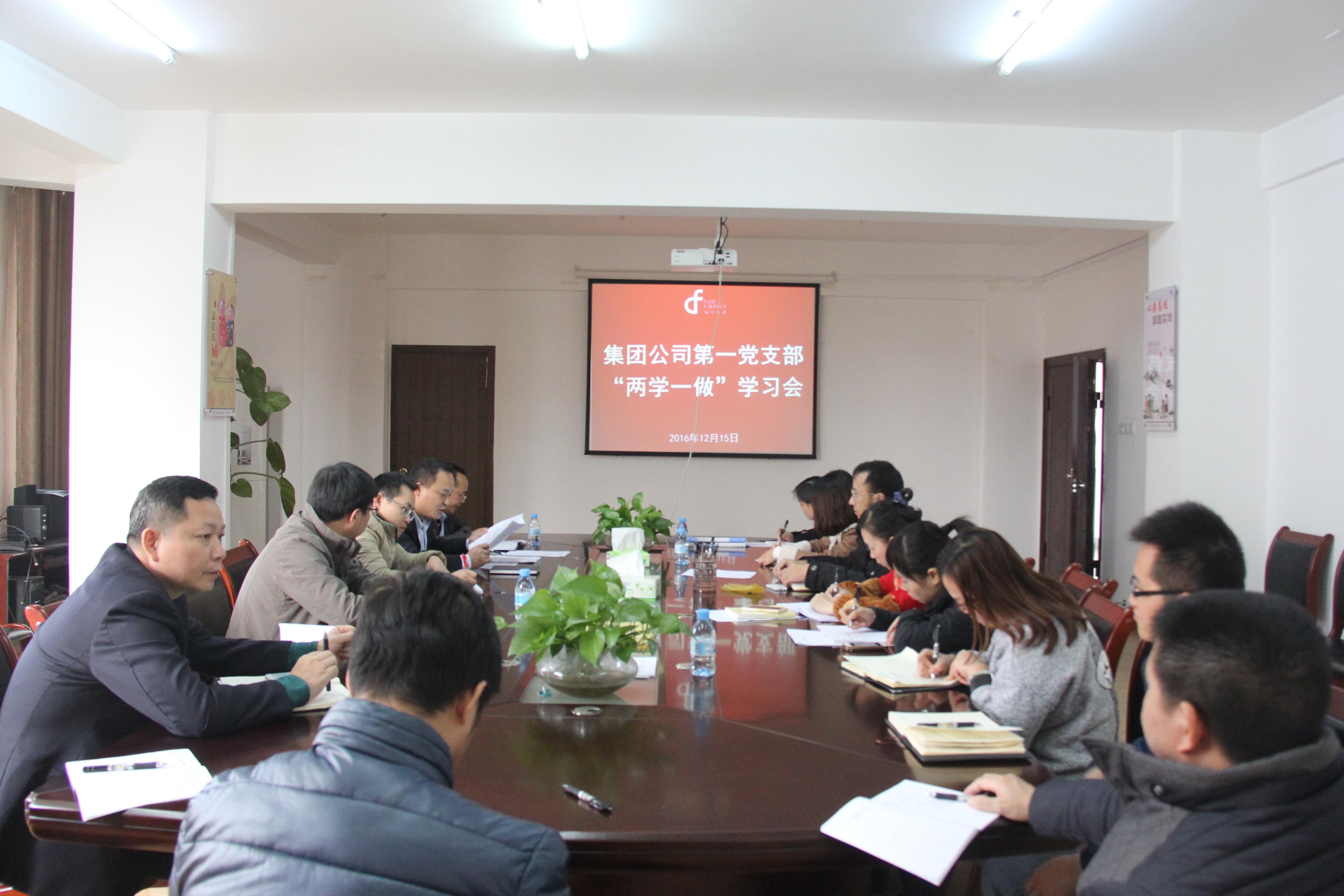 集团公司第一党支部召开“两学一做”学习会