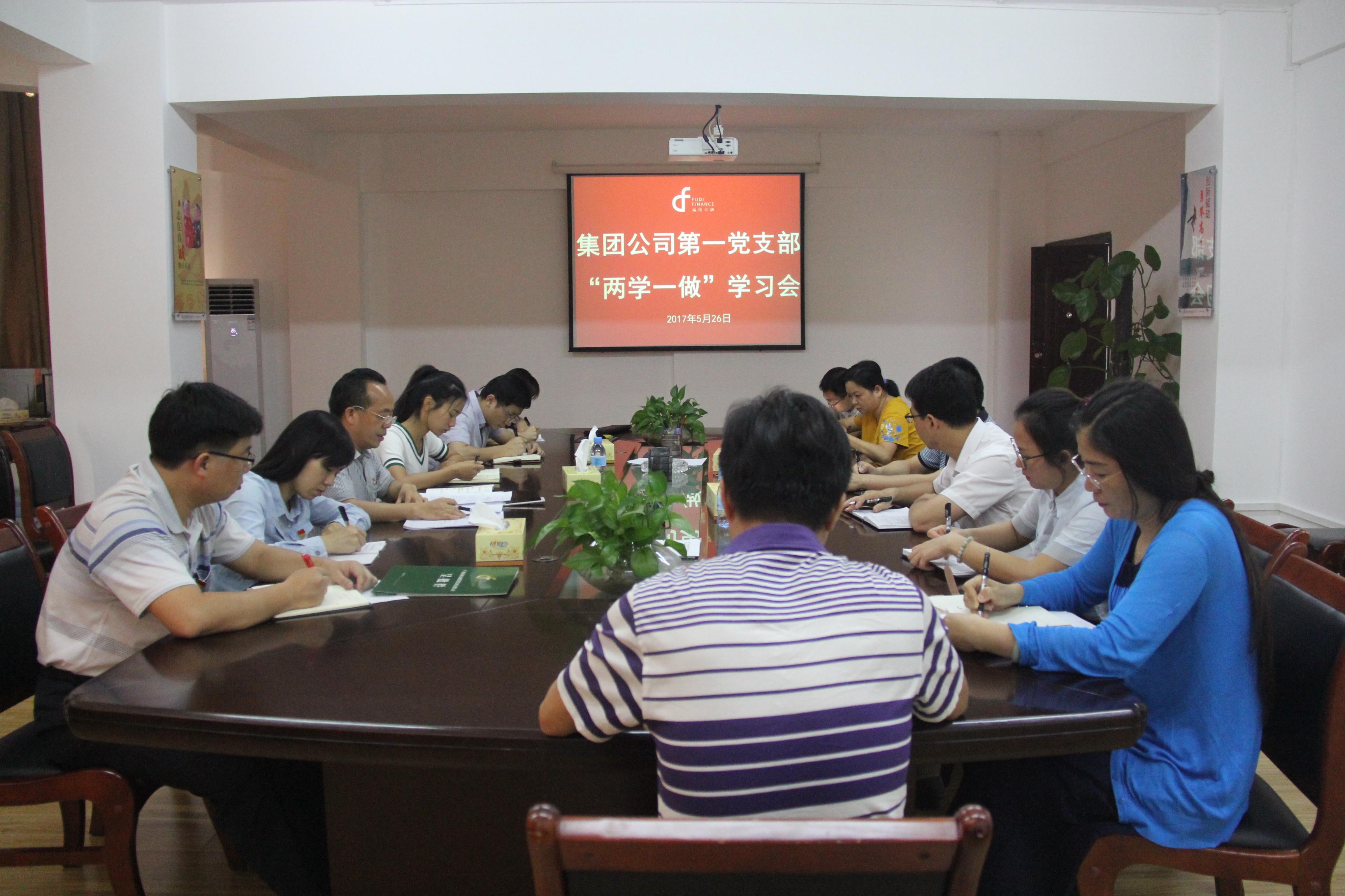 集团公司第一党支部召开“两学一做”理论学习会