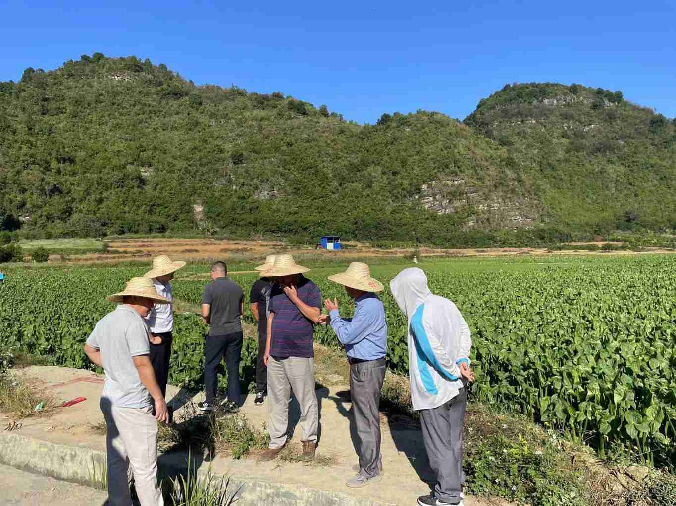 田阳外业审查现场_副本