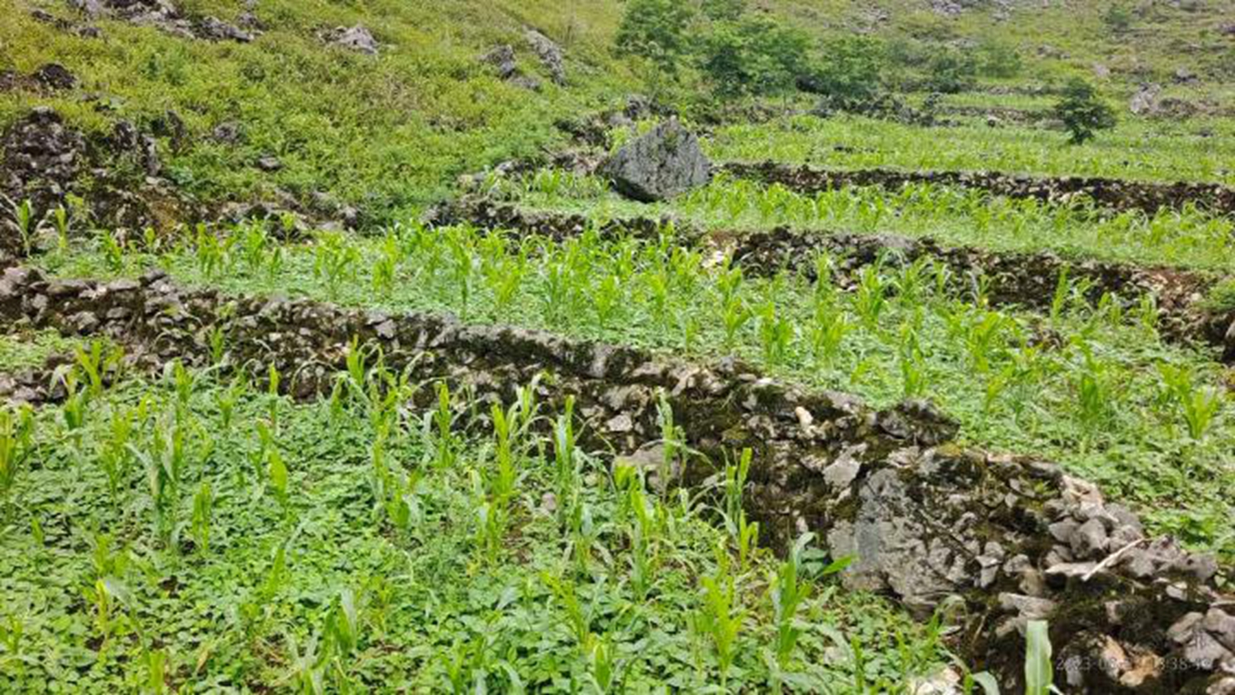 项目地块整改后